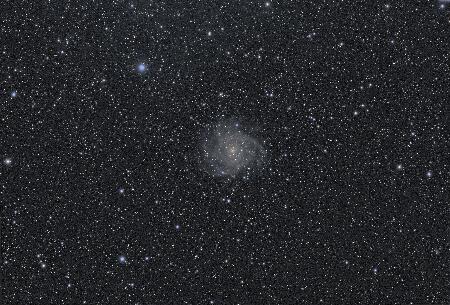 IC342_PGC13826, 2025-02-01, 20x200R 20x200G 11x200B 31x200L, APO100Q, (Red Green Blue Luminance), Toupcam sigma clip_bin2x2.jpg